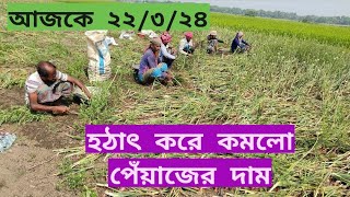 22 March 2024 হঠাৎ করে কমে গেল পেঁয়াজের দাম। [upl. by Llib]