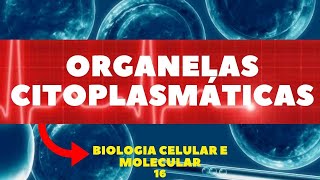 ORGANELAS CITOPLASMÁTICAS  GOLGI RETÍCULOS LISOSSOMOS BIOLOGIA CELULAR E MOLECULAR  AULA 16 [upl. by Etteloc]