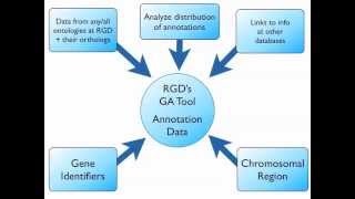 GA Tool Tutorial [upl. by Erret]