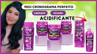 🍇MEU CRONOGRAMA PERFEITO DABELLE AcidificanteVegano e Liberado Low Poo [upl. by Silsbye]