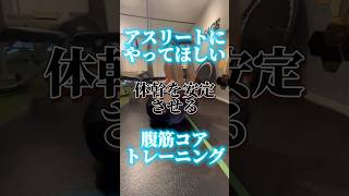 腹圧を入れながらできればめちゃくちゃいいトレーニング 体幹トレーニング トレーニング [upl. by Ecilegna]