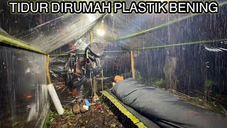 SOLO CAMPING HUJAN DERASTIDUR DI DALAM RUMAH PLASTIK BENING [upl. by Island]