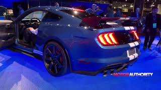 2020 Ford Mustang Shelby GT500 cold start revs [upl. by Aneez]