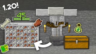 Minecraft Zombie amp Skeleton Mob Spawner XP Farm  121 Tutorial [upl. by Lenoj953]