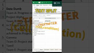 Text After Formula shortcut excel exceltips exceltricks mrexcel Kirubhashanker learn [upl. by Nnyltiac]