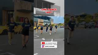 APT  LINE DANCE linedance apt linedanceindonesia dancechallenge [upl. by Sakhuja]