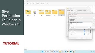 How to give permission to folder in Windows 11 [upl. by Blank531]