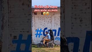 Firulais salió bueno para andar en moto🤣🤣 [upl. by Dlawso]