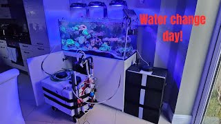 Water Change Day [upl. by Aiyotal19]