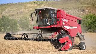 LAVERDA AL QUATTRO TECHNO Az Agricola F lli Gucciardo  Calatafimi Segesta  Raccolta grano 2024 [upl. by Amrak]