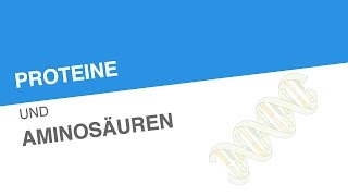 PROTEINE UND AMINOSÄUREN  Biologie  Genetik und Entwicklungsbiologie [upl. by Zorah]