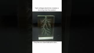 Witness the Electric Beauty of Lichtenberg Figures [upl. by Nylodnarb]