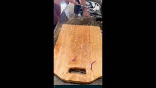 CLEANING AND CUTTING A MACKAREL FISH ASMR [upl. by Waverley577]