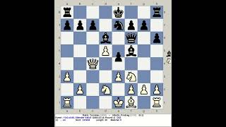 Rakic Tomislav vs Nikolic Predrag  Yugoslavia Chess 35 1980 Skender Vakuf [upl. by Thorrlow233]