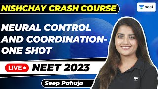 Neural Control and Coordination  One Shot  Nishchay  Seep Pahuja [upl. by Durrett236]