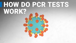 How do COVID19 tests work RTPCR explained [upl. by Onaivatco]