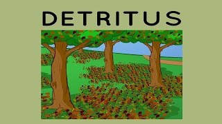 Detritus [upl. by Lalaj]