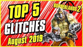 Glitches That Still Work In 2019  Invincibility Infinite Ammo amp More  Borderlands 2 Top 5 [upl. by Hgielime]