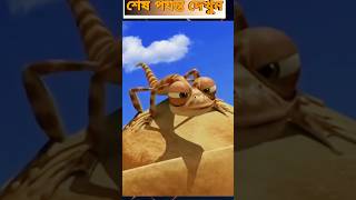 HD The Best Oscar ডিম চুরি  মজার Oscar কার্টুন শর্ট  Oscar OscarCartoon CartoonShorts [upl. by Eyot]