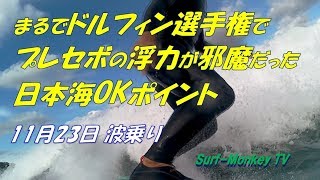 まるでドルフィン選手権でプレセボの浮力が邪魔だった秋の日本海 181123 サーフモンキーTV [upl. by Ahsaercal879]