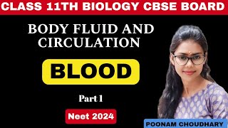 Blood and its Components Plasma  Body fluid and circulation  Class 11  Neet 2024 [upl. by Antebi]