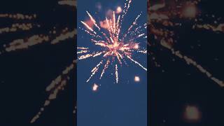 Sanatani manaye Diwali Hifi in the Sky diwali festival love viralvideo reels shorts [upl. by Stearn]