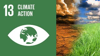 UN Sustainable Development Goals  Climate Action 13 [upl. by Elimac]