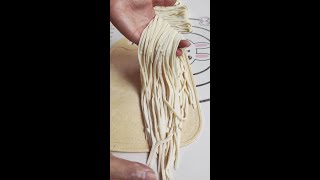 Homemade Chinese Noodles Recipe [upl. by Kristoforo]