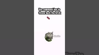 hit the brick plays itself MemeZee  memes funny cat edit jokes trending yt viral [upl. by Wearing]