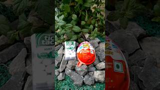 Tic Tac Mints amp Kinder Joy Box shortsytshortscandy [upl. by Warder]