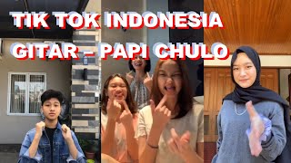 TIK TOK INDONESIA DJ GITAR  PAPI CHULO OCTAVIAN amp SKEPTA TIK TOK 2020 [upl. by Anotyal]