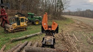 Using Buck Saw on Log Yard to Get Walnut Ready to be Loaded [upl. by Atekan255]