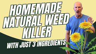 Vinegar Weed Killer  Works in 24 Hours [upl. by Meyeroff]