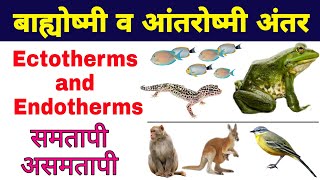 बाह्योष्मी और आंतरोष्मी में अंतर हिंदी में  ectotherms and endotherms in hindi  biology ScienceSK [upl. by Golter]