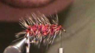 How to tie a woolly worm fly [upl. by Veradi418]