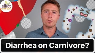 Chronic Diarrhea On Carnivore Diet Excess Bile FXR amp Inflammation [upl. by Nnylyt]