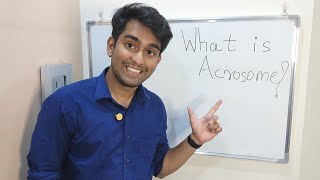 Learn What is Acrosome   Acrosome  Key to Fertilization  in Biology [upl. by Norrehc]