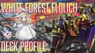 YUGIOH White Forest Eldlich Deck Profile [upl. by Nahoj956]