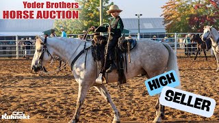 Highest Seller from the 2024 Yoder Brothers Horse Auction [upl. by Ytsirhk270]