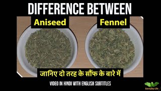 Difference between Aniseed and Fennel  Sauf  दो तरह के सौंफ पतली और मोटी सौफ  Everyday Life 81 [upl. by Bander]