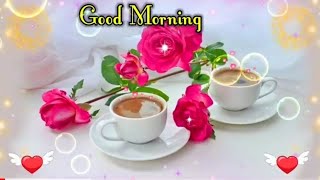 Good Morning status  🌹Good Morning shayari  🌹Good Morning video  🌹Good Morning [upl. by Standice]