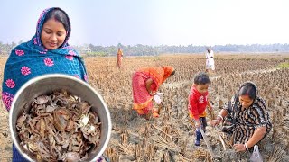 মাঠ থেকে ছোট ছোট কাঁকড়া ধরে কাঁকড়ার তেলঝল কাঁকড়ার টক সাথে শংকর মাছের ঝাল রান্না  crab curry [upl. by Elleinod517]