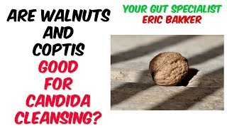 Are Black Walnut and Coptis Enough For Complete Candida Cleanse [upl. by Hsejar]