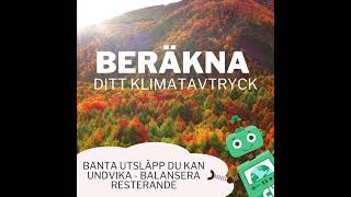 Beräkna och Balansera Ditt Klimatavtryck – Så Kan Du Göra Skillnad 🌱 [upl. by Yrkcaz]