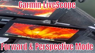 Garmin Livescope forward vs Perspective mode on the water comparison of both [upl. by Remmer]