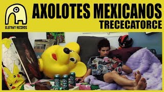 AXOLOTES MEXICANOS  Trececatorce Official [upl. by Carin]