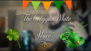 The Creggan White Hare  Irish Bouzouki  In the style of Daoirí Farrell [upl. by Assiralc]