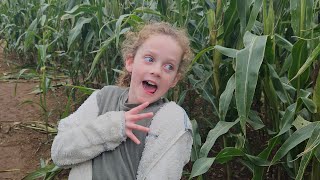 COLEBY PUMPKIN PATCH AND CORN MAZE LINCOLNSHIRE [upl. by Eidnyl]