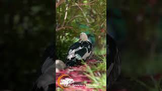 Grabando historias de vida en El Cerro Champaqui Córdoba [upl. by Yleek]