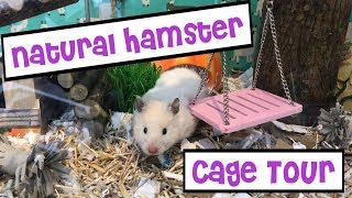 Natural Hamster Cage Tour  IKEA Detolf Woodland Theme [upl. by Aerdnaxela]